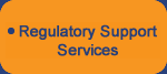 Regulatory support services
